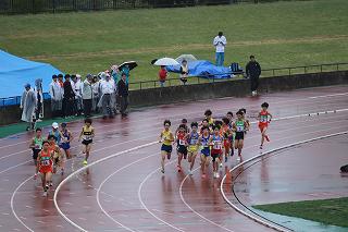 IMG_5308.jpg