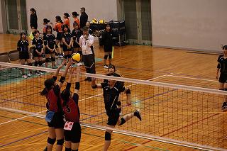 IMG_5399.jpg
