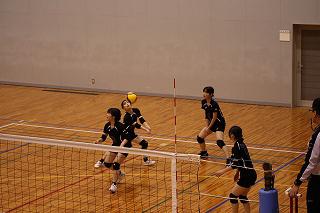 IMG_5401.jpg