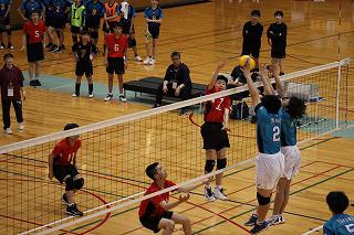 IMG_5405.jpg