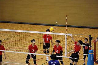 IMG_5432.jpg