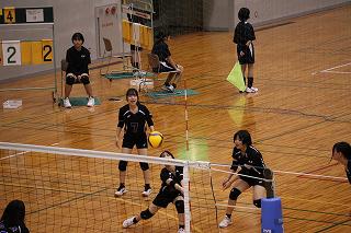IMG_5446.jpg