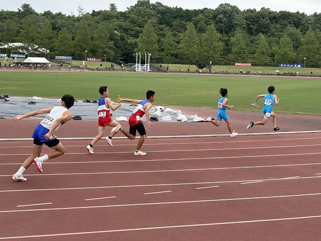 IMG_1492.jpg