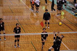 IMG_5595.jpg