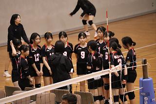 IMG_5647.jpg