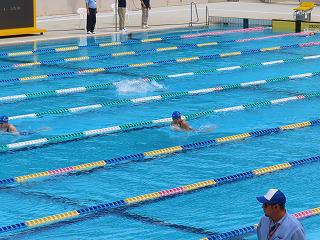 IMG_4733.jpg