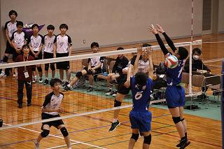 IMG_5704.jpg