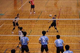 IMG_5762.jpg