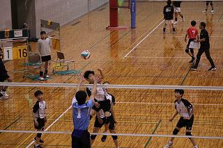 IMG_5787.jpg