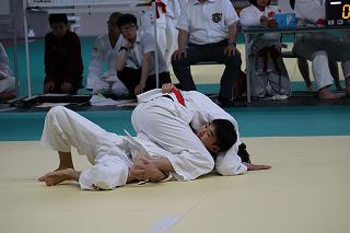 IMG_6660.jpg