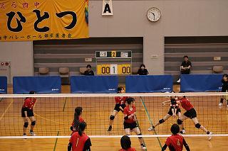 IMG_6895.jpg