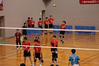 IMG_7026.jpg
