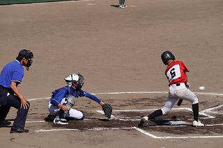 IMG_7243.jpg