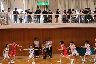IMG_7684.jpg