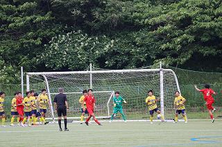 IMG_7727.jpg