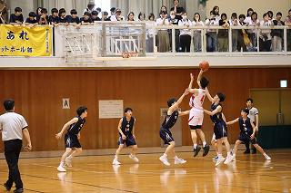 IMG_7768.jpg