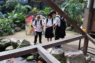 IMG_7797.jpg