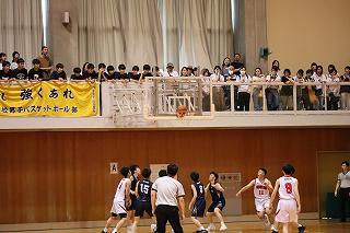 IMG_7798.jpg