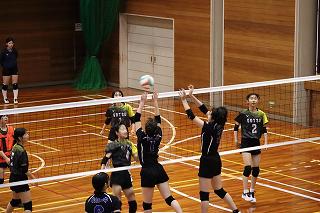 IMG_4864.jpg