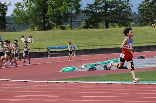IMG_8033.jpg