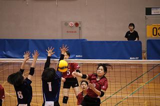 IMG_8064.jpg
