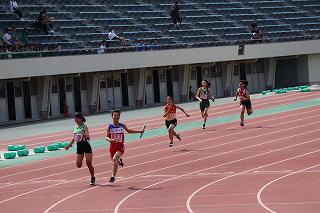 IMG_8093.jpg
