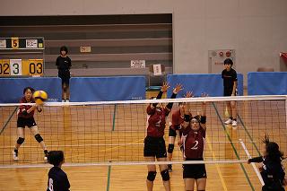 IMG_8099.jpg