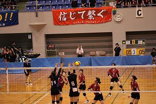 IMG_8101.jpg