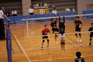 IMG_8163.jpg
