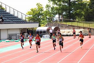 IMG_8199.jpg