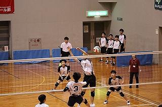IMG_8225.jpg