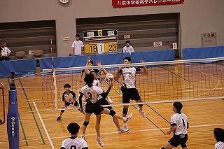 IMG_8238.jpg