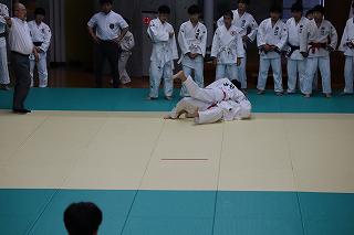 IMG_8367.jpg