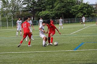 IMG_8374.jpg