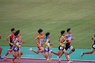IMG_8990.jpg