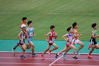 IMG_8992.jpg