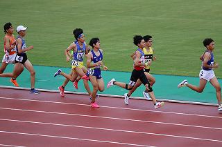 IMG_8997.jpg