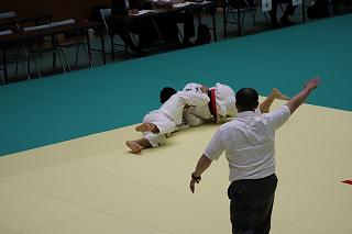 IMG_9528.jpg