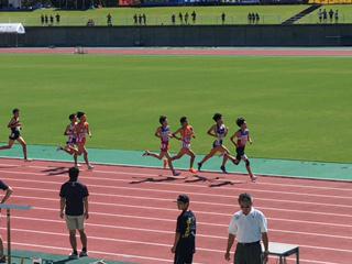 IMG_9863.JPG