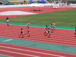 IMG_9933.JPG