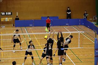 IMG_9983.jpg
