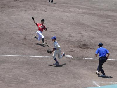 P1000454.JPG