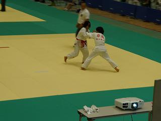 P1000547.jpg