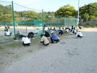 P1000706.jpg