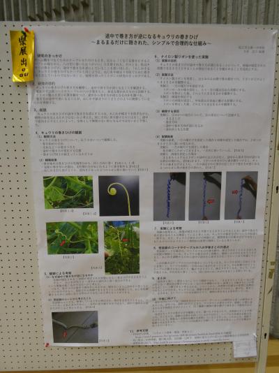 P1001042.JPG