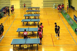 P1090237.jpg
