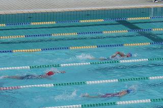 P1090380.jpg