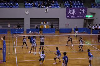 P1100031.jpg