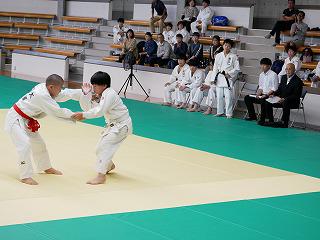 P1380495.jpg