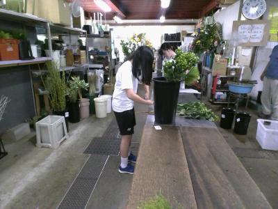 0930平田生花店③.jpg